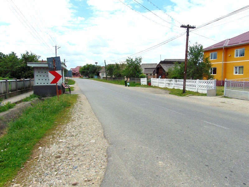 arinis