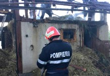 Incendiu la un adăpost de animale în Şişeşti