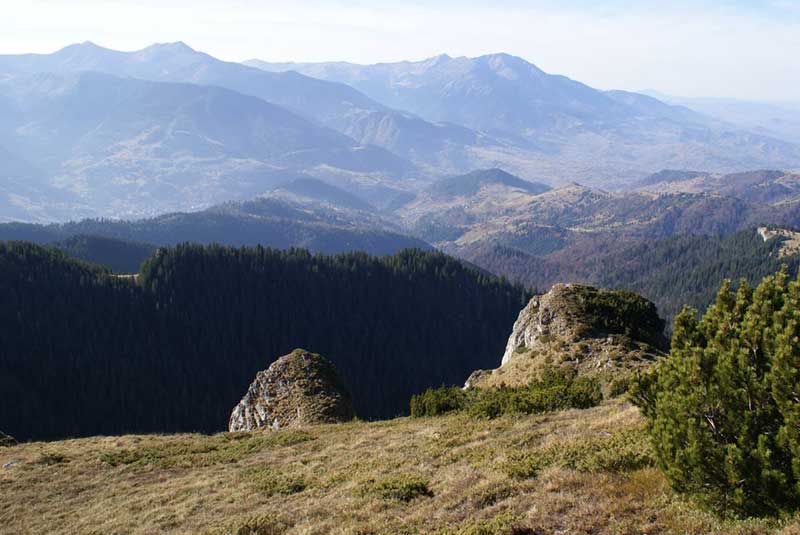 Muzeu-Baia-mare