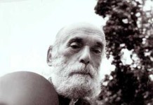 Steinhardt, membru al Academiei