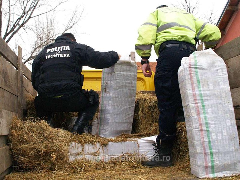 ţigări de contrabandă confiscate