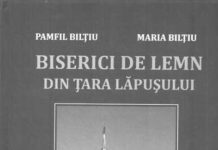 Biserici de lemn din Ţara Lăpuşului