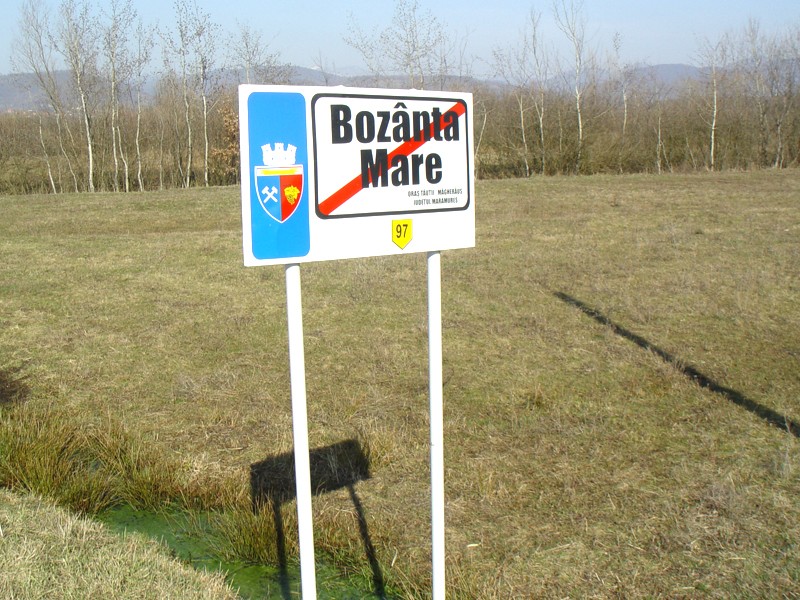 DSC05175