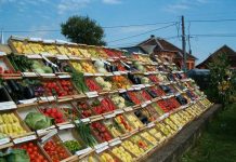 Subvenţiile pe 2017 Expoziţie de legume la Dăneşti - Mireşu Mare