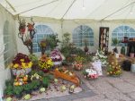 Expo-Flora-009