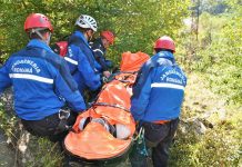 O femeie şi-a rupt piciorul la cules de ciuperci