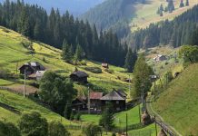 Cu ochii plini de obârşii