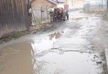 Lacuri cu apă, cai fără stăpîn şi gunoaie pe str. Doinei