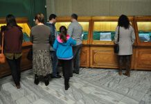 Chipuri în piatră la Mineralogie