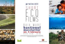 Festival de Film Scurt Eco