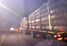Amenzi de aproximativ 200.000 lei, ţigări de contrabandă şi material lemnos confiscate
