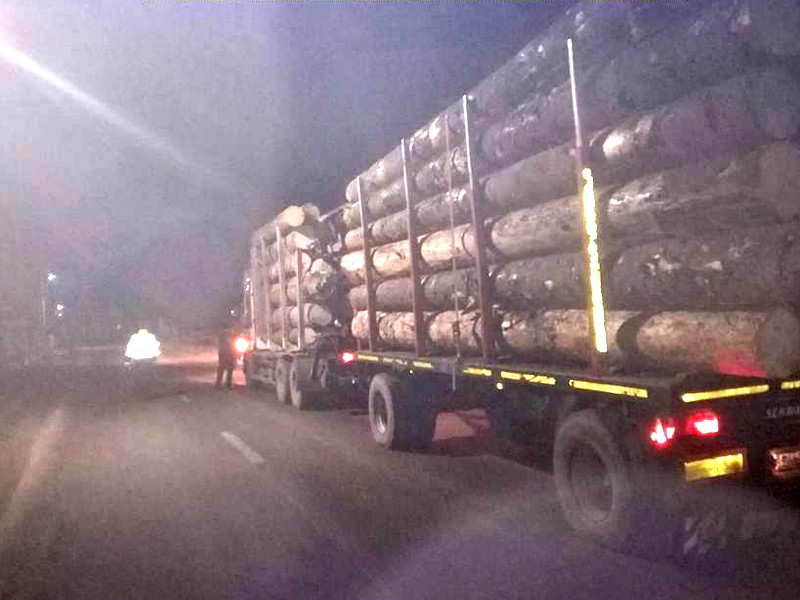 lemn