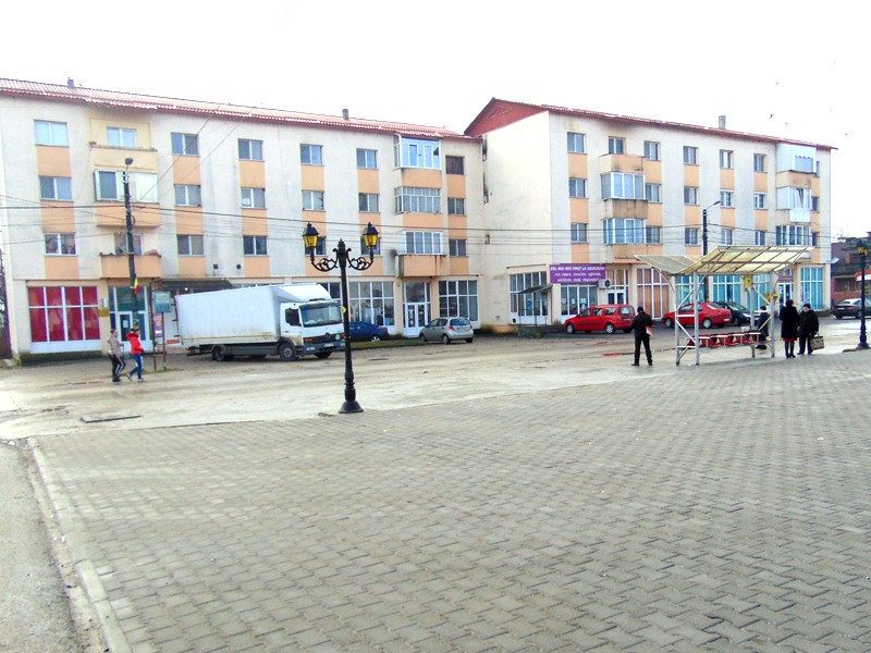 Ulmeni2