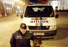 Sub îndrumarea conductorului – Ryky, câinele de urmă, a găsit mai multe bijuterii sustrase dintr-o locuinţă