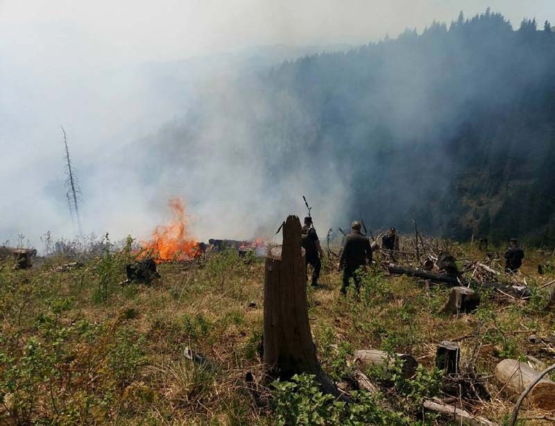 incendiu-padure-toroioaga