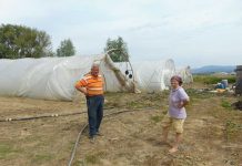 Virgil şi Garofiţa Grebleş în câmp