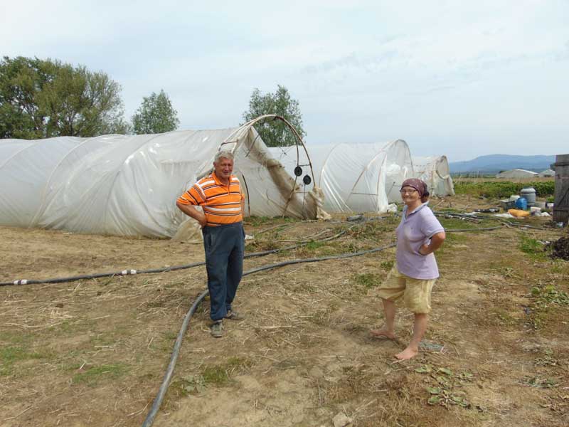 DSC01416 Virgil şi Garofiţa Grebleş în câmp