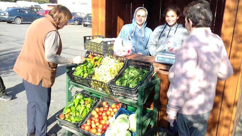 Elevi-din-Seini-la-vînzarea-legumelor Elevi la vînzarea legumelor