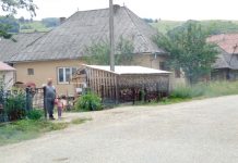 O treime dintre cupşenari lucrează în străinătate!