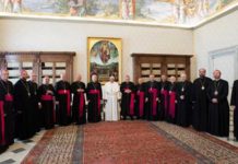 Episcopul Vasile Bizău, în audiență la Suveranul Pontif