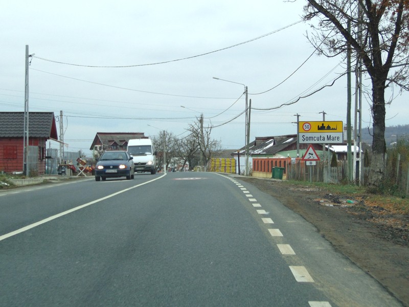 DSC07502