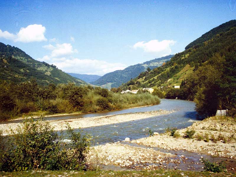 Valea-Vaserului