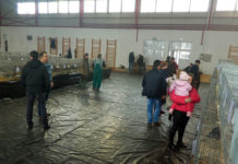 Expoziţia „Creasta Cocoşului” la a XVII-a ediţie