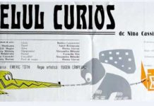 Elefănțelul curios