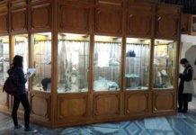 Record de vizitatori la Mineralogie