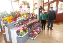 Flori produse în Dămăcușeni Enyko Gergely și Șandor Balla
