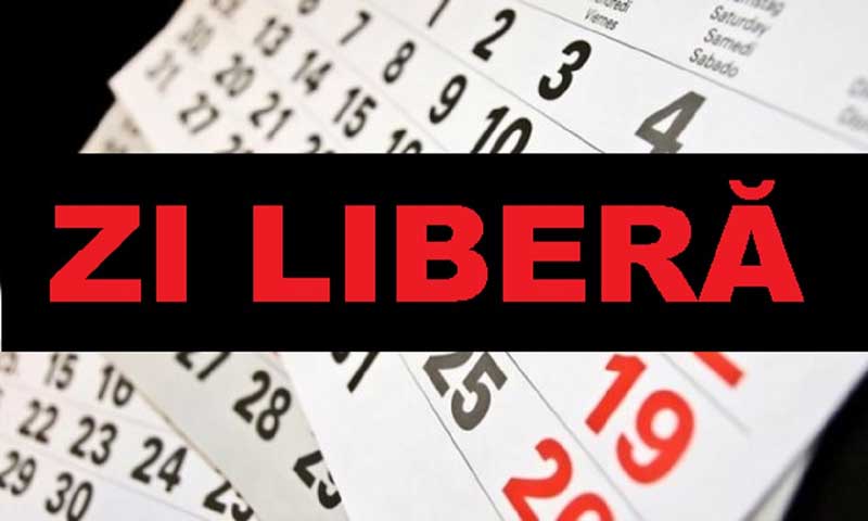 ZI-libera