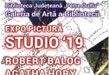Expoziție de pictură