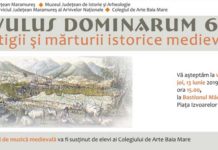 Rivulus Dominarum 690