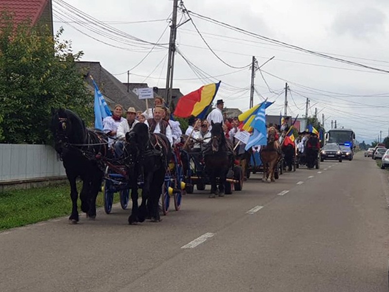 carute din mm in bucovina 3
