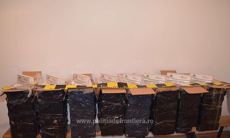 tigari, politia de frontiera