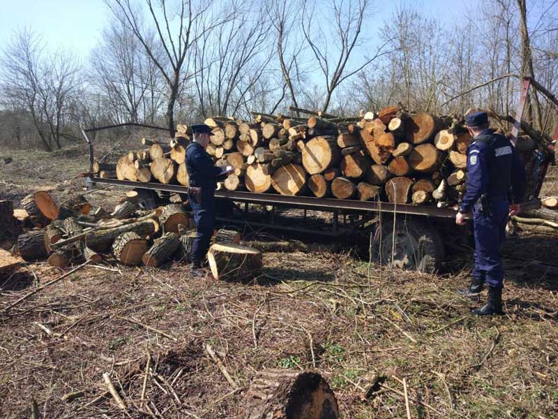 Acțiune-pentru-prevenirea-și-combaterea-delictelor-silvice