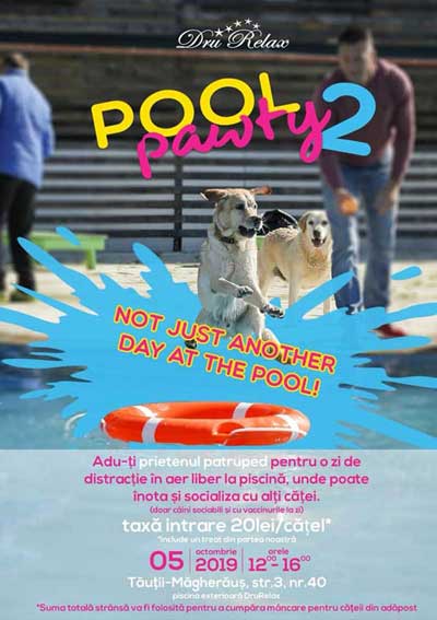 dog-pool-party