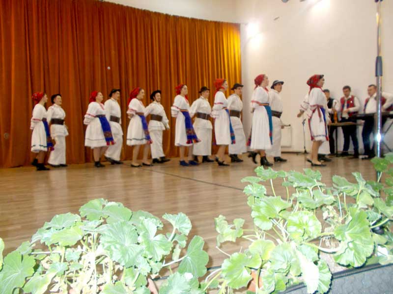 Perechi-de-dansatori-pregătiţi-de-către-Maius-Costea Perechi de dansatori pregătiți de Marius Coste