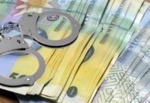 SENAT • Închisoare pentru neplata impozitelor și contribuțiilor