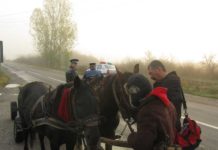 Control la intrarea în judeţul Maramureş (Ariniş)