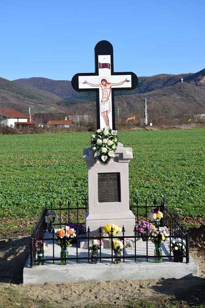 cruce-seini