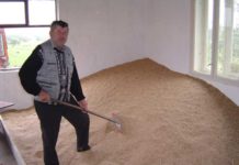 Depozit de triticale, în Şomcuta Mare