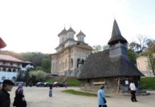 Proiect • Muzeul de artă, tradiție și istorie a Țării Lăpușului