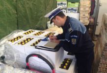 16 sancțiuni contravenționale în sumă de 44.000 lei