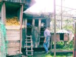 Coteţul familiei Bîrda a rămas gol