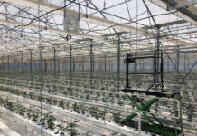 Solar modular la stația de biogaz din Seini