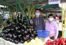 Vinete de peste 1 kg, din Lucăcești