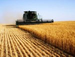 culturilor agricole