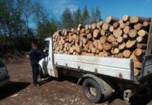 În Cicârlău și Prislop • Material lemnos confiscat de polițiști