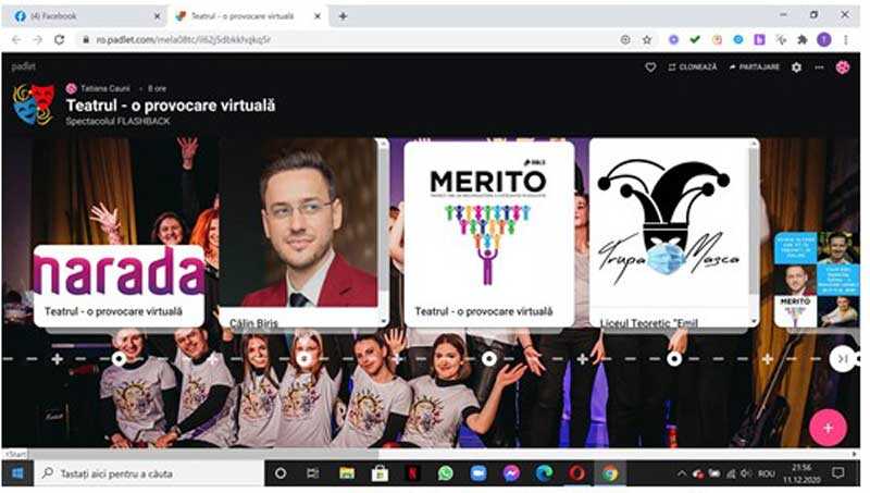 proiect-teatru